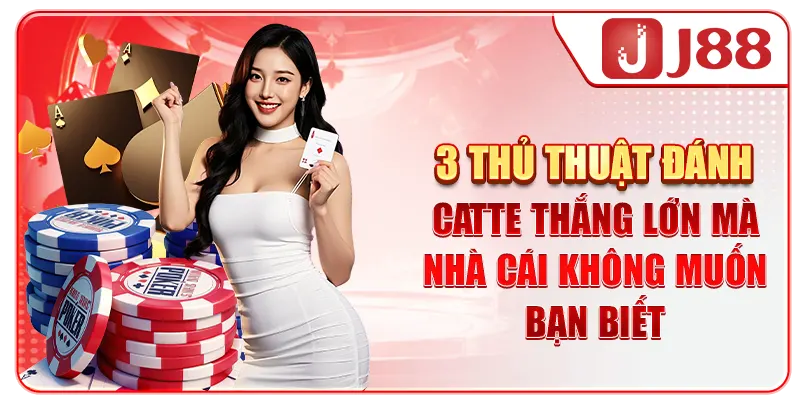 3 thủ thuật đánh Catte thắng lớn mà nhà cái không muốn bạn biết
